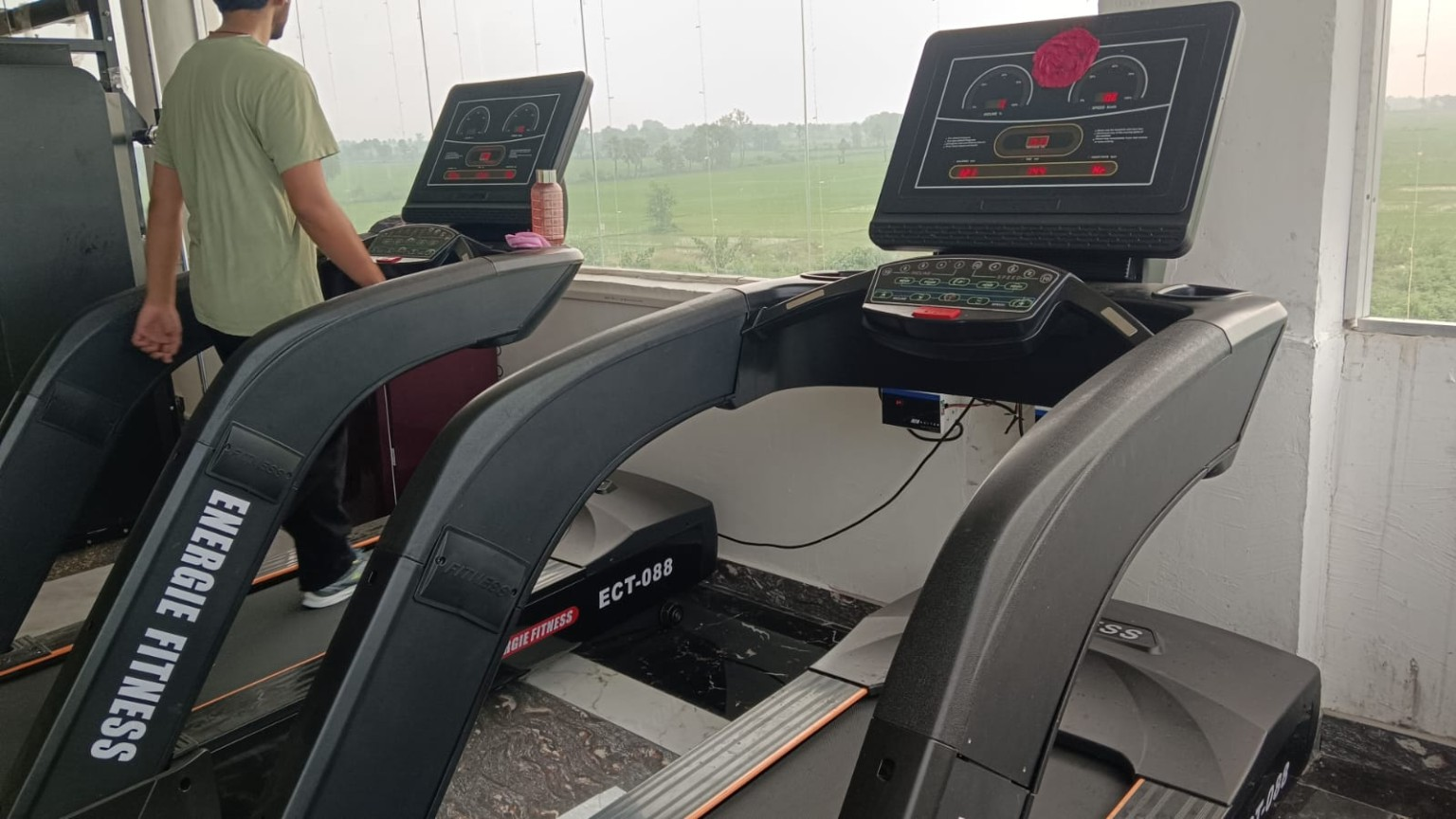 Gym Workout at Royal Fitness Hub