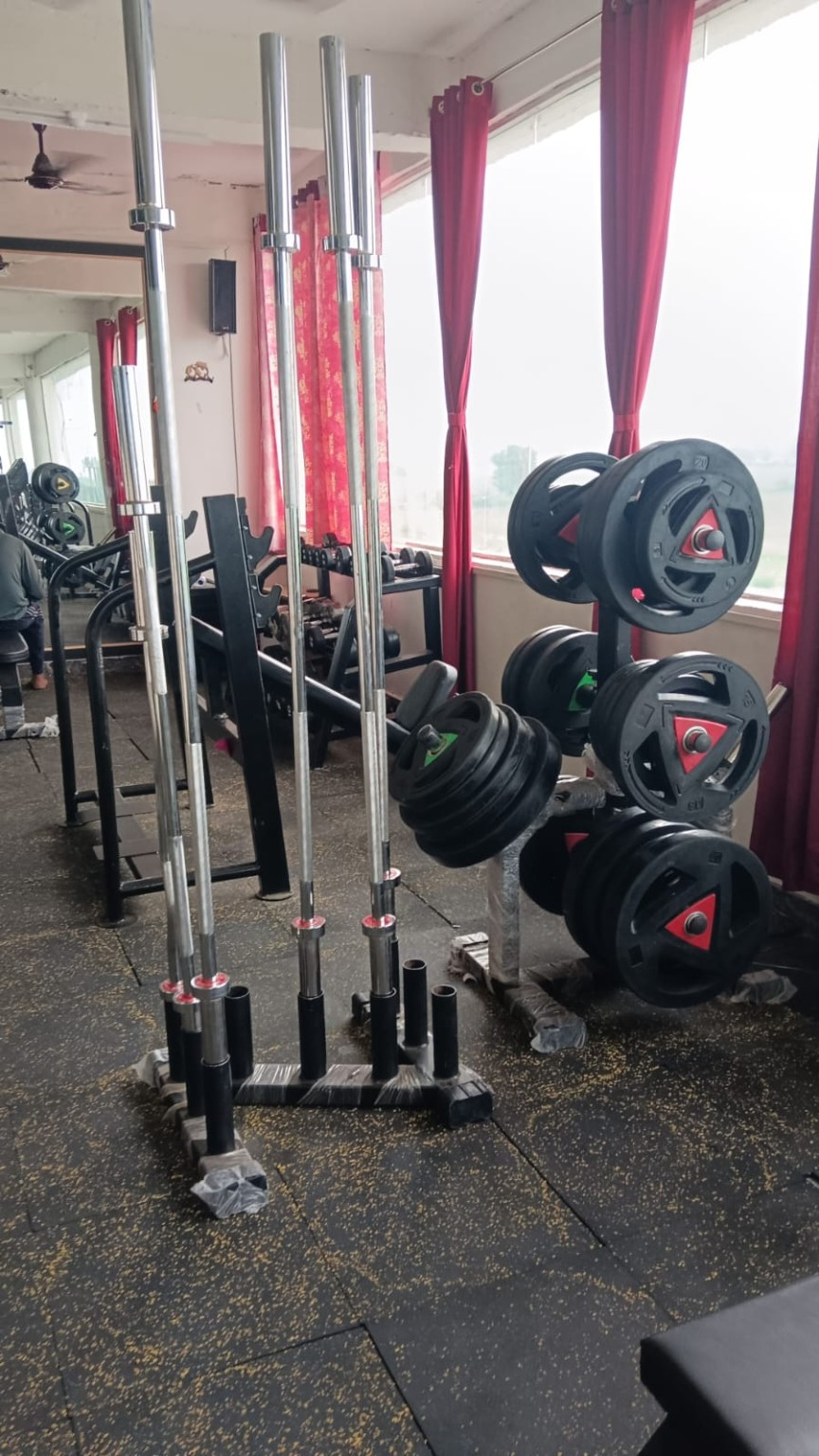 Strength and Muscle Building